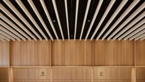 Nowy Apple Store w Roosevelt Field na Long Island wkrótce po remoncie